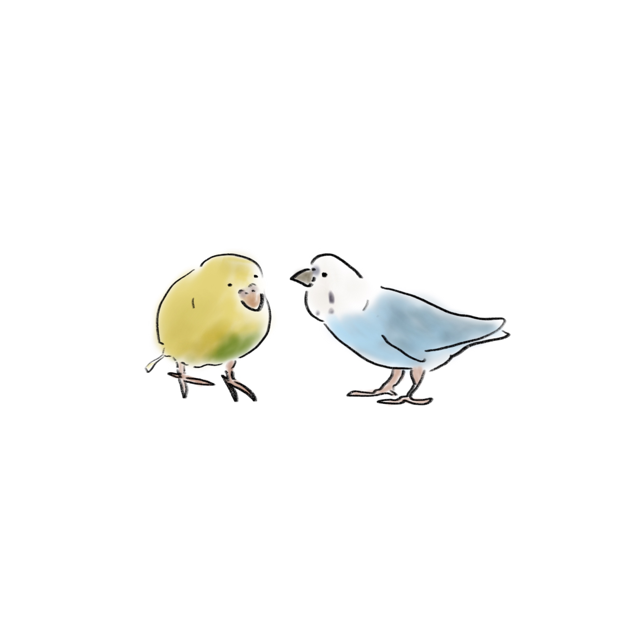 いろいろ インコ イラスト ゆるい ゆるい インコ イラスト かわいい Jpirasutoiqenqy