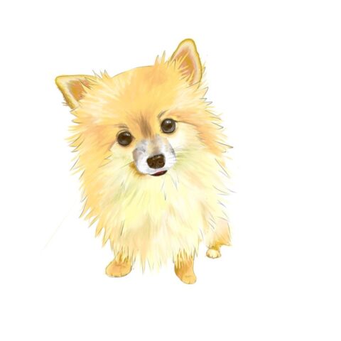 あなたの愛犬／愛猫描きます！大切な家族との思い出を残しませんか