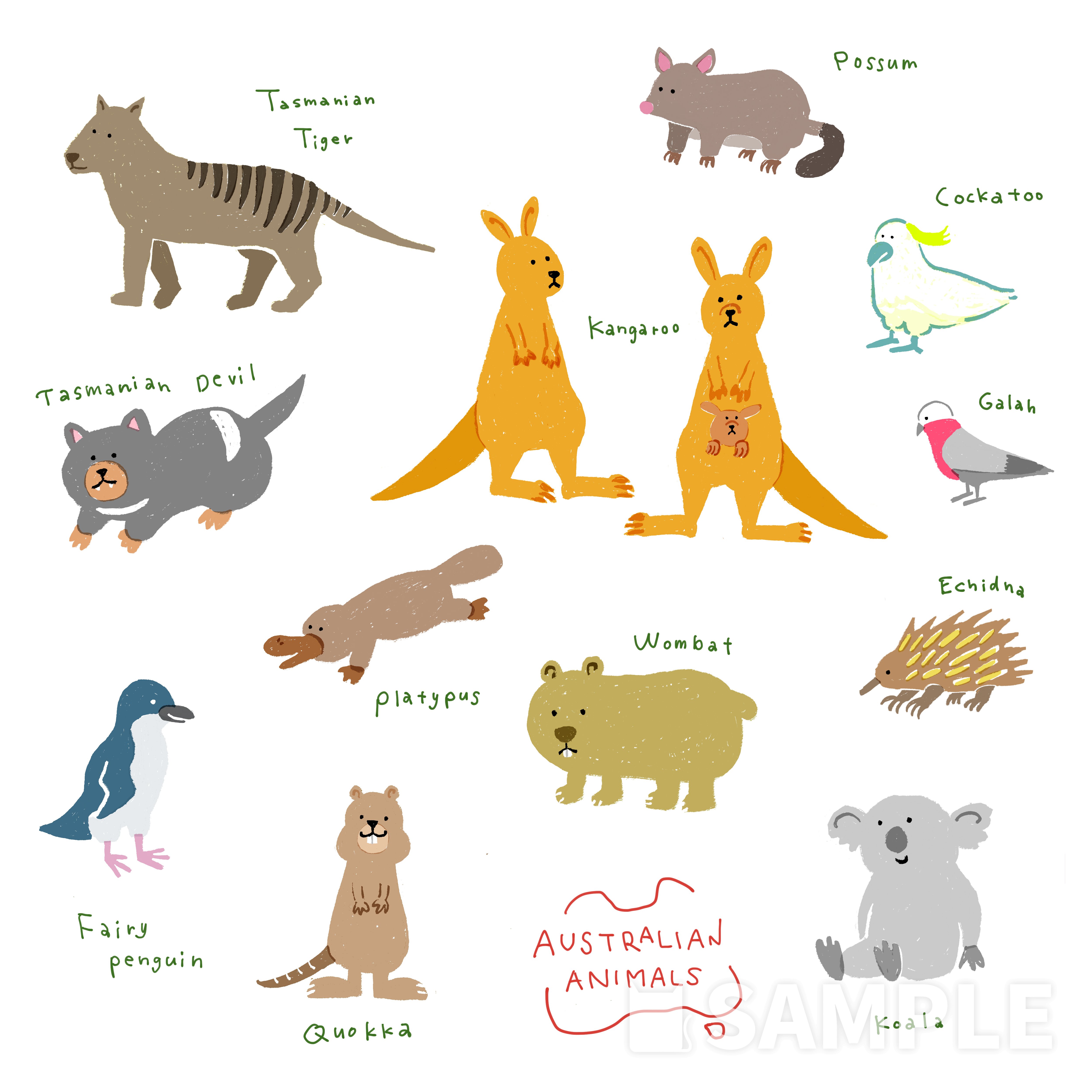 オーストラリアの動物たち イラスト制作依頼はタノムノ